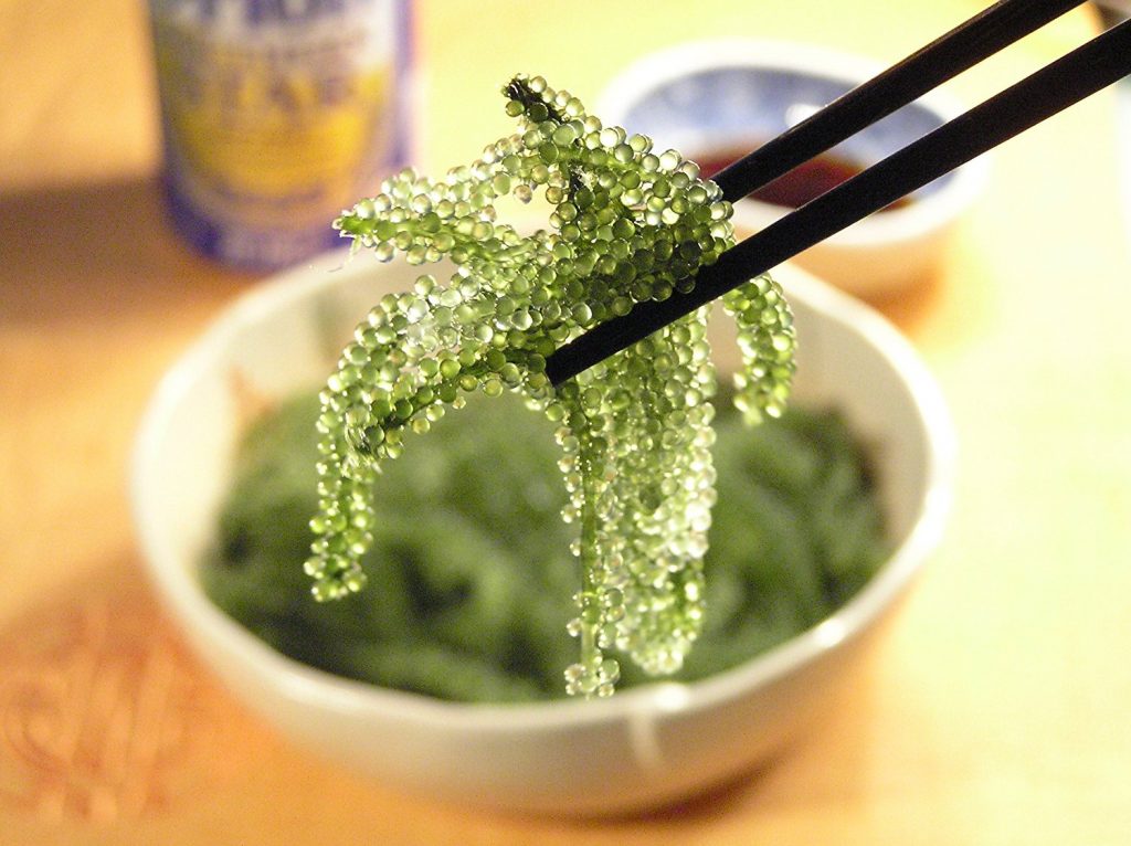 海ぶどうはお取り寄せできるおすすめ沖縄土産です。