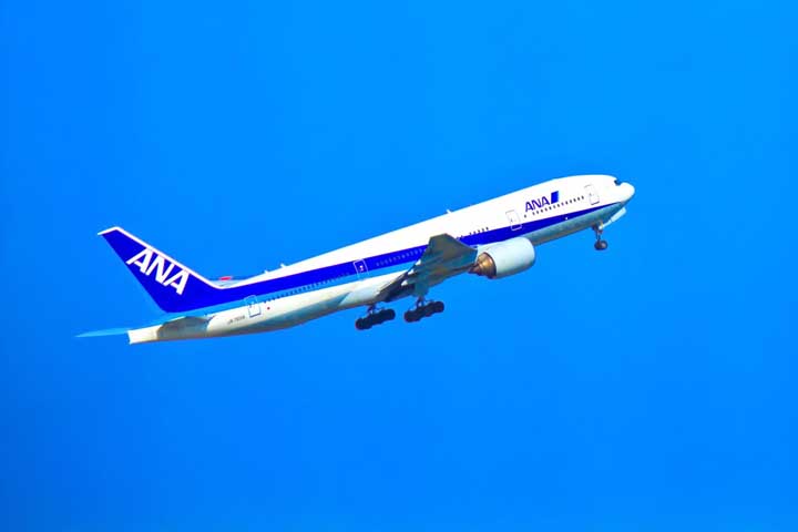 ANAの株主優待券とは？使い方やメリット、入手方法までご紹介します！