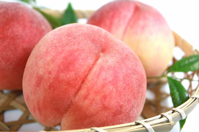 格安航空会社「Peach(ピーチ)」の利用方法とLCCならではのお得な情報をご紹介!